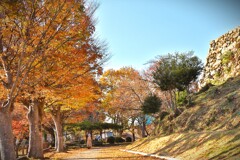 拝啓 小雪の候 浜松城公園7