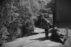 拝啓 小寒の候 花沢の里1