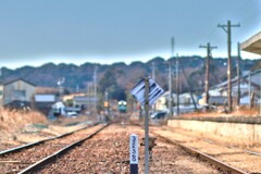 拝啓 大寒の候 天浜1