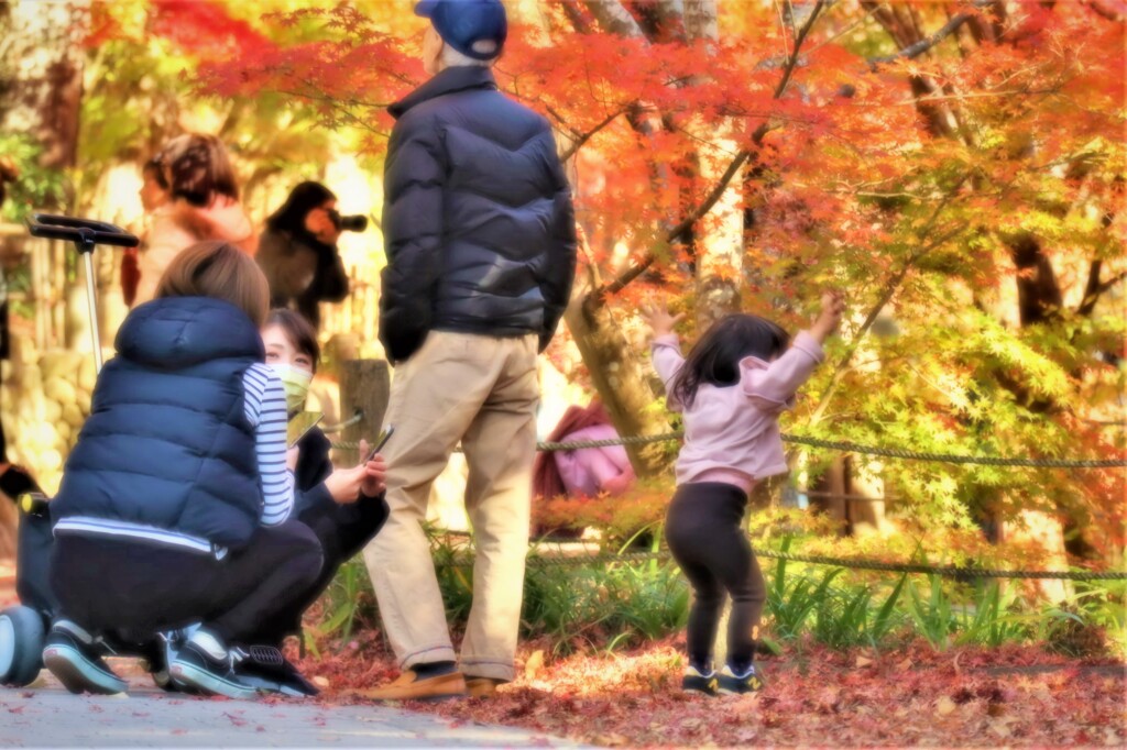 お嬢様は ふわふわがお好き