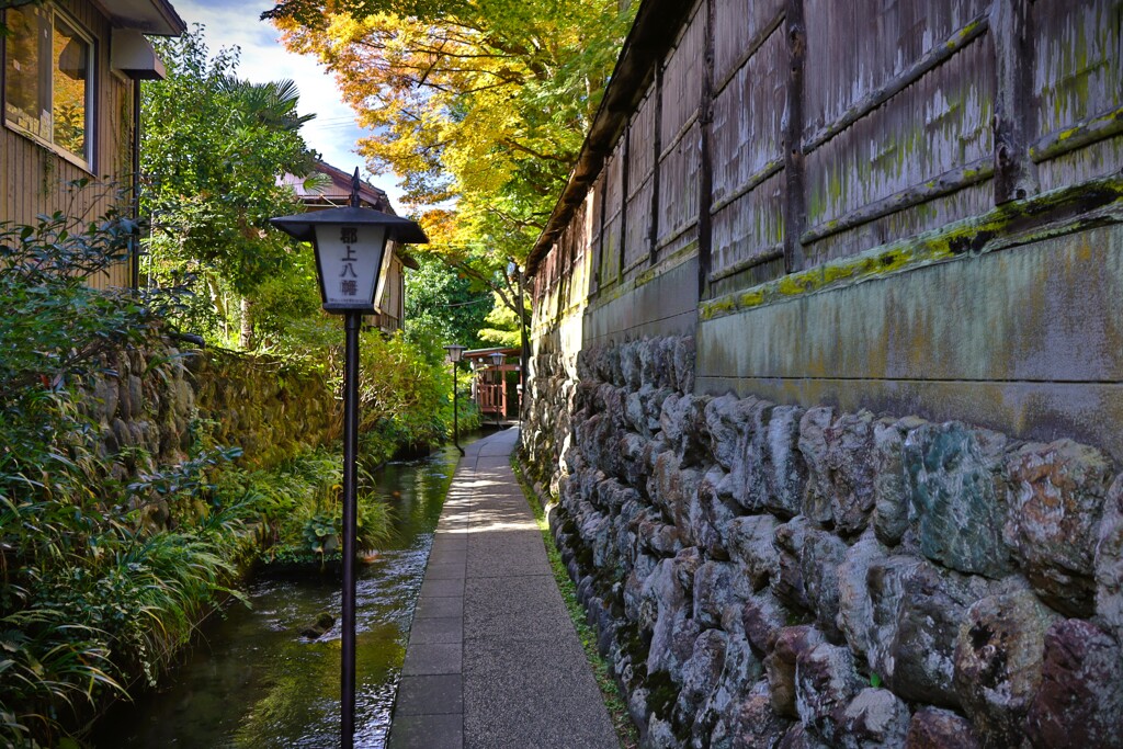 拝啓 霜降の候 郡上八幡8