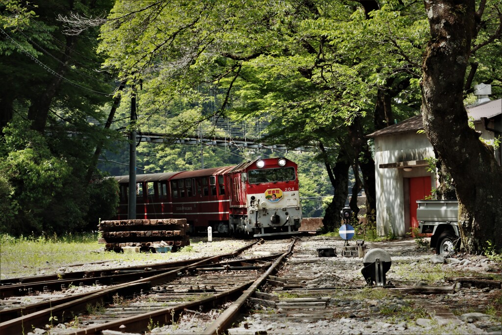 拝啓 穀雨の候 川根両国 2