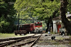 拝啓 穀雨の候 川根両国 2