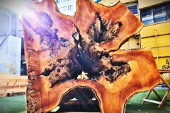 拝啓 小雪の候 浜松3