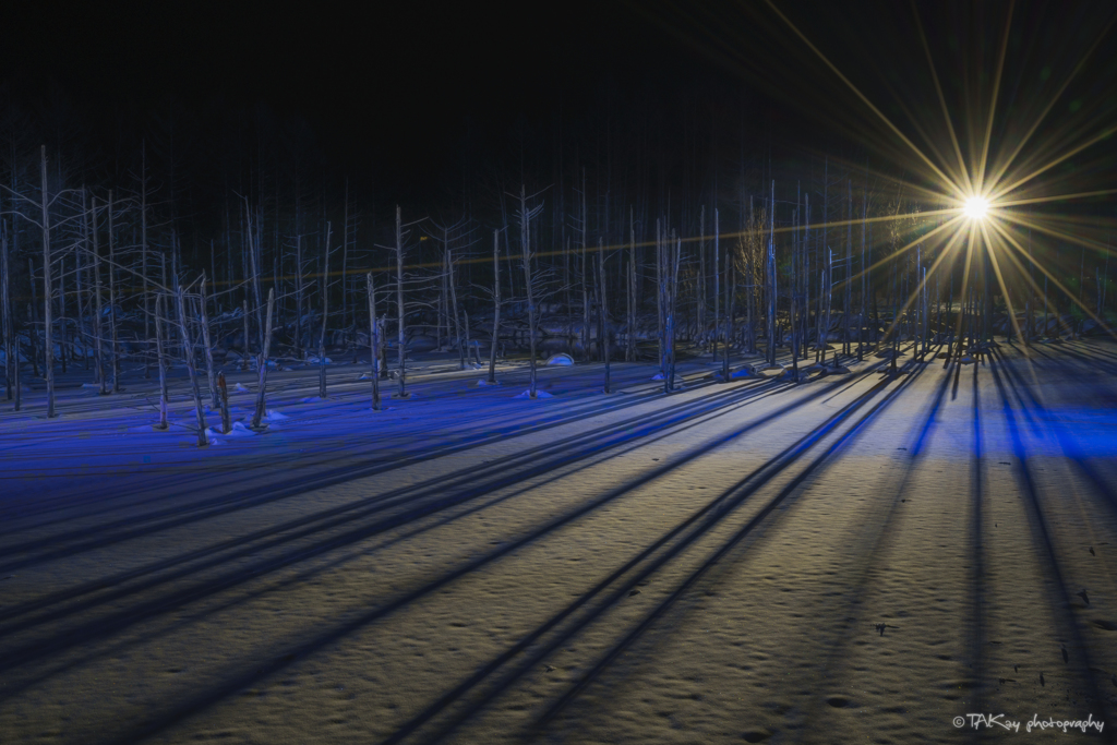 Winter light and shadow