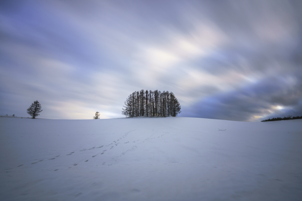 Hill at the end of winter