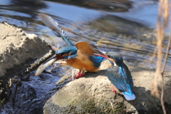 恋の駆け引き