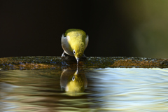 水鏡②