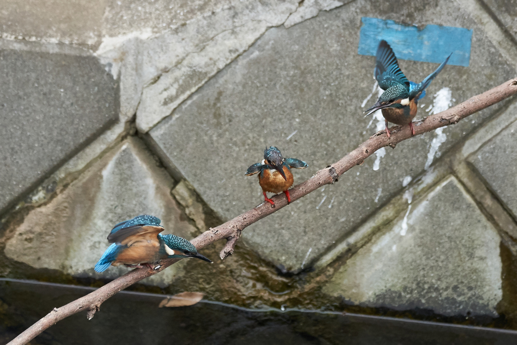 教育熱心なお父さん
