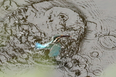 フラクタル模様