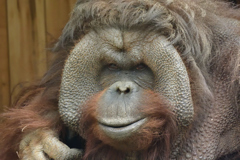 ズーラシアの動物たち①　こわーっ！