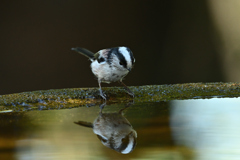 水鏡