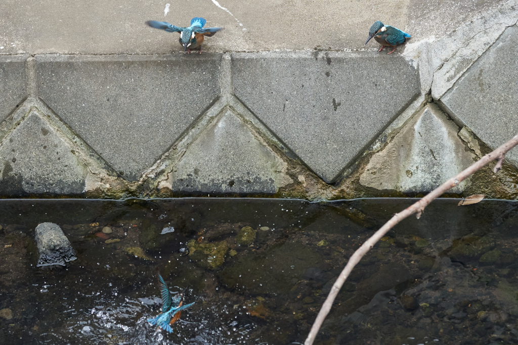 お父さんのお手本を見入る子供たち