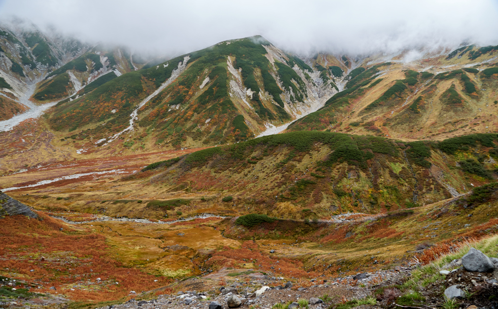 立山雷鳥沢の草紅葉