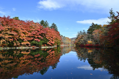 軽井沢雲場池の紅葉
