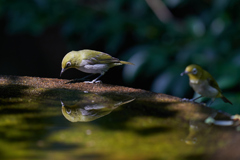 水鏡