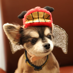 犬の獅子舞