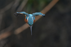飛び出しから着水まで④