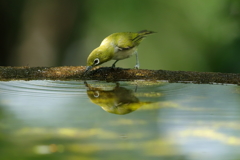 水鏡①