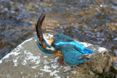 アクロバット