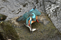 豪快な食事