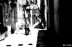 img_00004