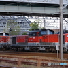 稲沢駅にてDD51