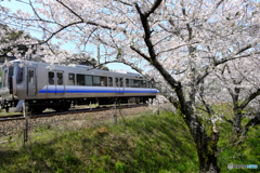 さくらと223系