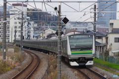 菊名駅にてE233系