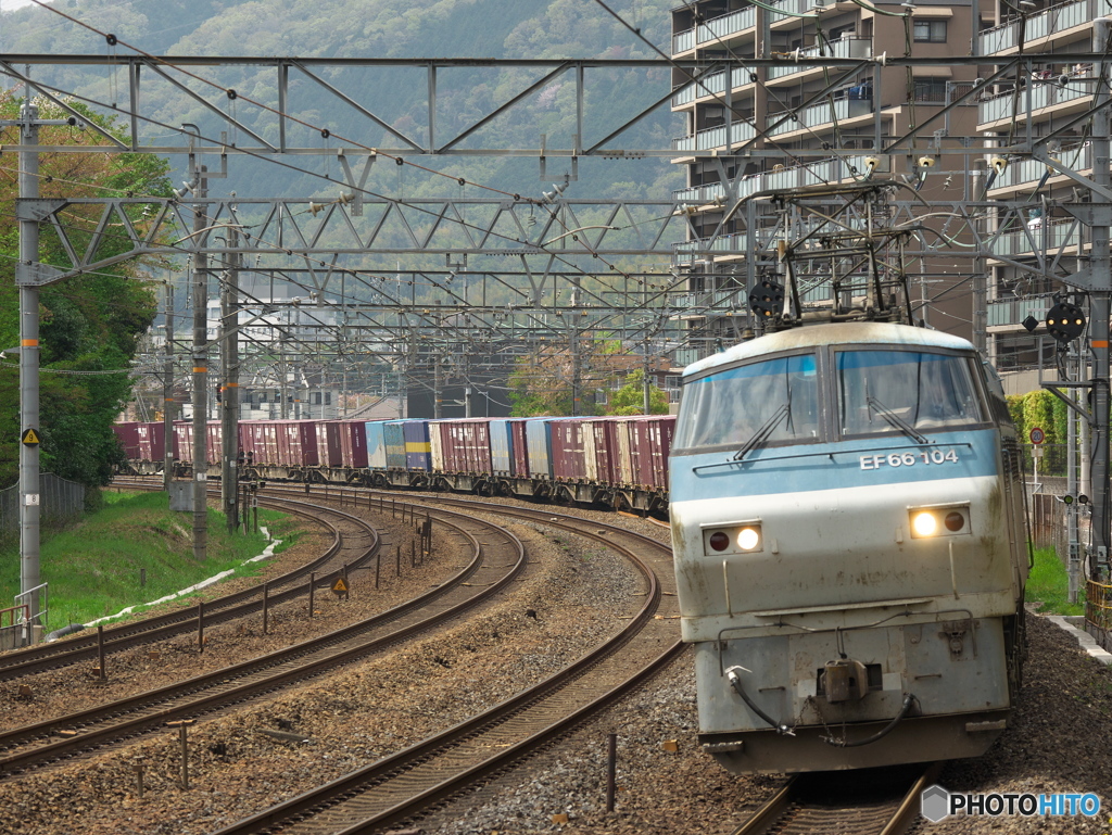サントリーカーブにてEF66 104号機