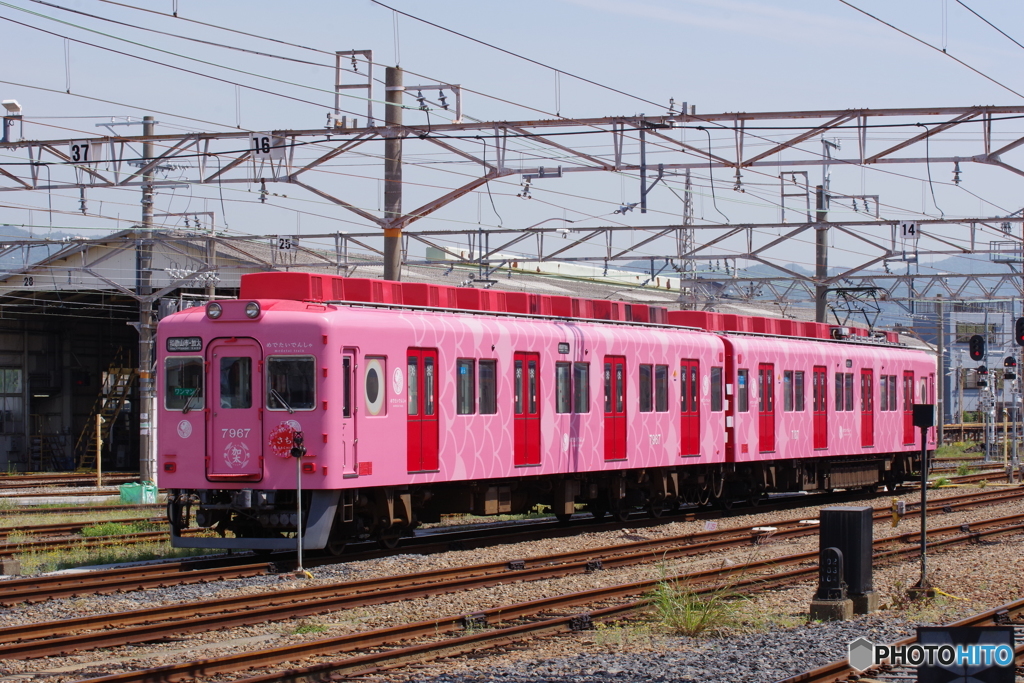 和歌山市駅にて加太さかな線のさち