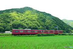 赤と緑