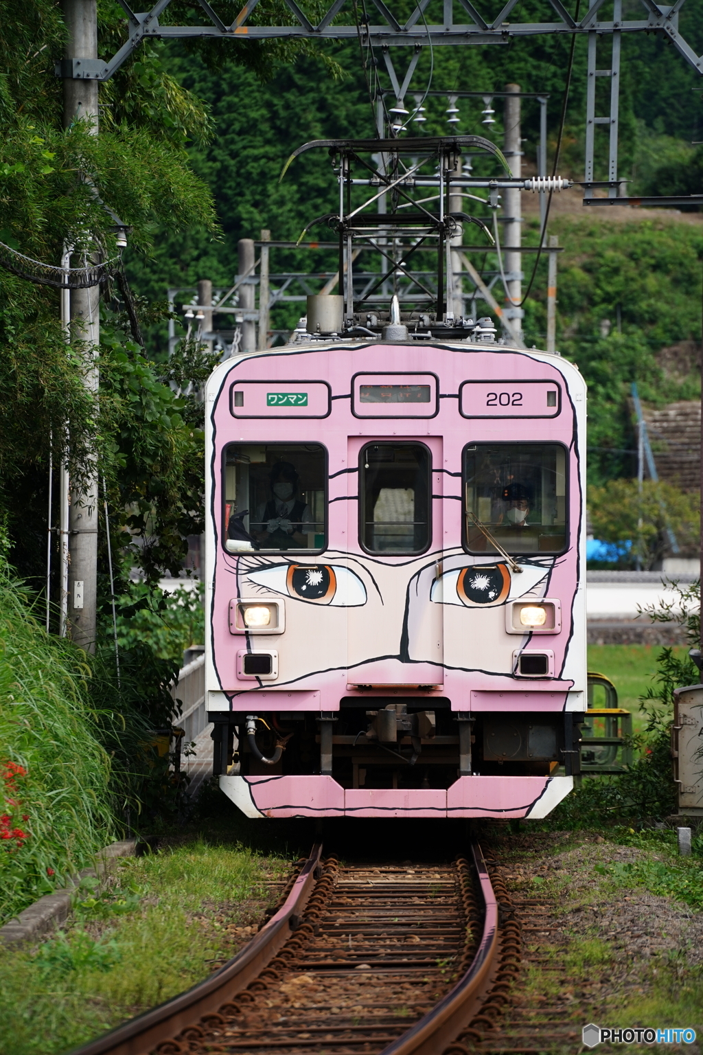 ピンク色の忍者列車