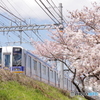 さくらと南海