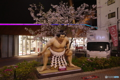 孤独な関取