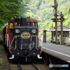 トロッコ保津峡駅にてDE10①