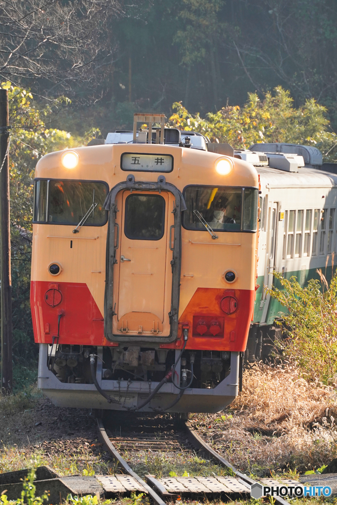 小湊鉄道のキハ40