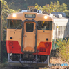 小湊鉄道のキハ40
