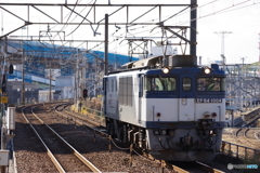 ささしまライブ駅にてEF64単機