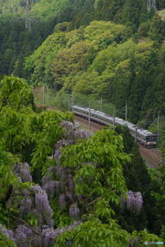 峠の223系