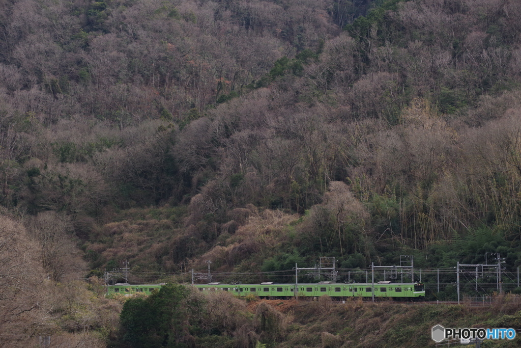 大和路線を走る201系