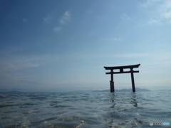 白髭神社の鳥居