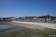 池の水ほぼ全部抜けていた