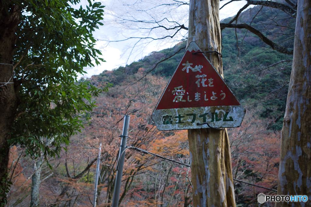 愛しています