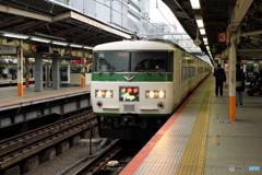 横浜駅にて185系踊り子号