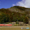 播但線のキハ41