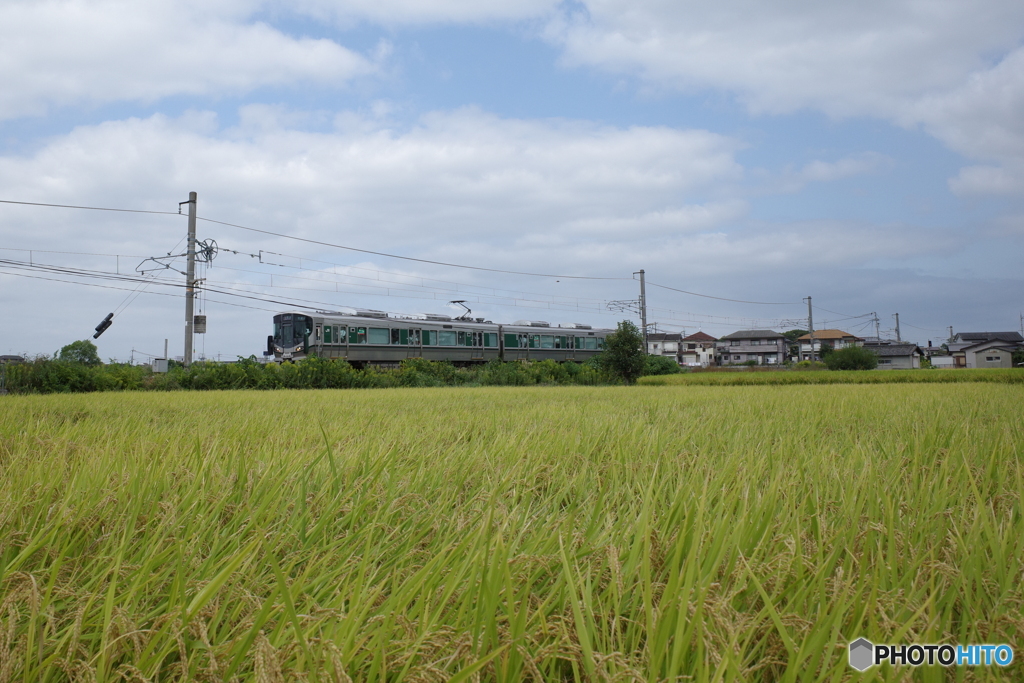 万葉まほろば線の227系