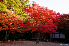 天徳院庭園