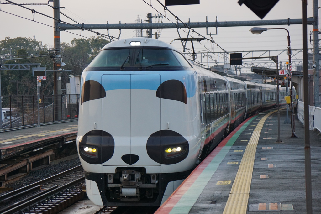 浅香駅を通過するパンダくろしお