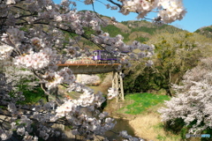 春の関西本線